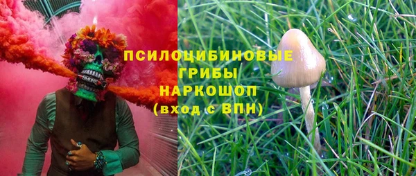 a pvp Арсеньев