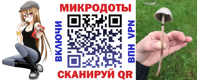 закладка  Тарко-Сале  Галлюциногенные грибы ЛСД 